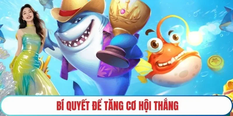 Bí quyết để tăng cơ hội thắng