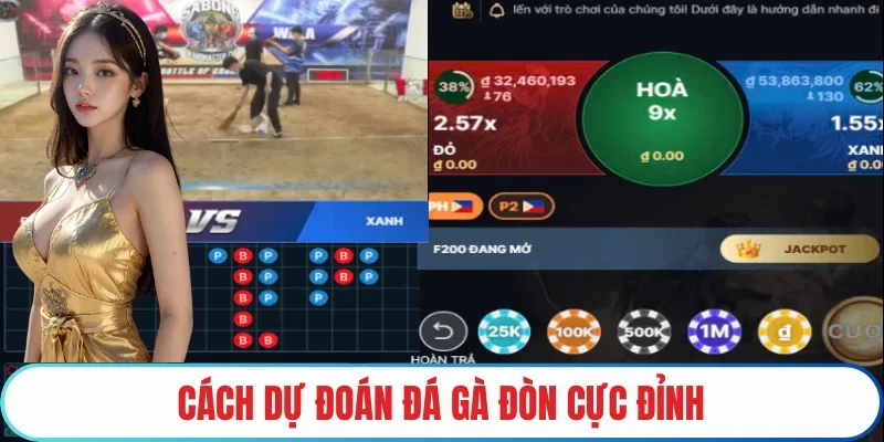 Cách dự đoán đá gà đòn cực đỉnh 