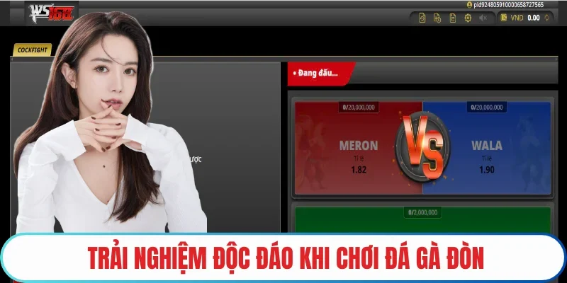 Trải nghiệm độc đáo khi chơi đá gà đòn