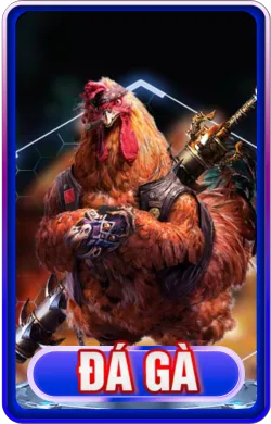 Favicon đá gà